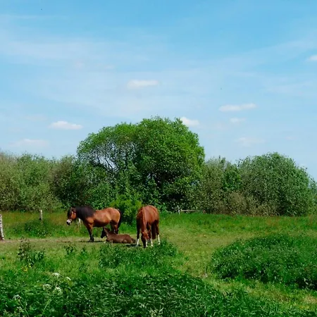 Ferienbungalow Fleesensee * Malchow